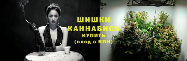 стаф Богородицк