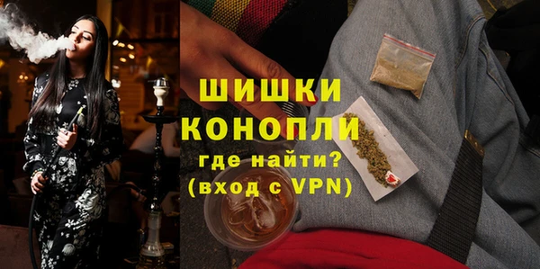 дмт Богородск