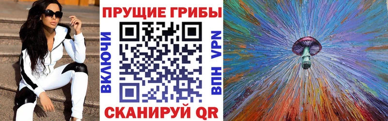 KRAKEN ссылки  Мостовской  Псилоцибиновые грибы Psilocybe 
